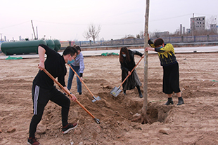 Tree planting day in 2020